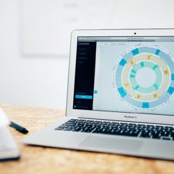 Parempi vaihtoehto Excel-vuosikellolle on Plandiscin vuosikello.